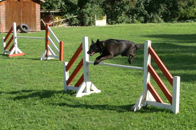 agility 2011-08
